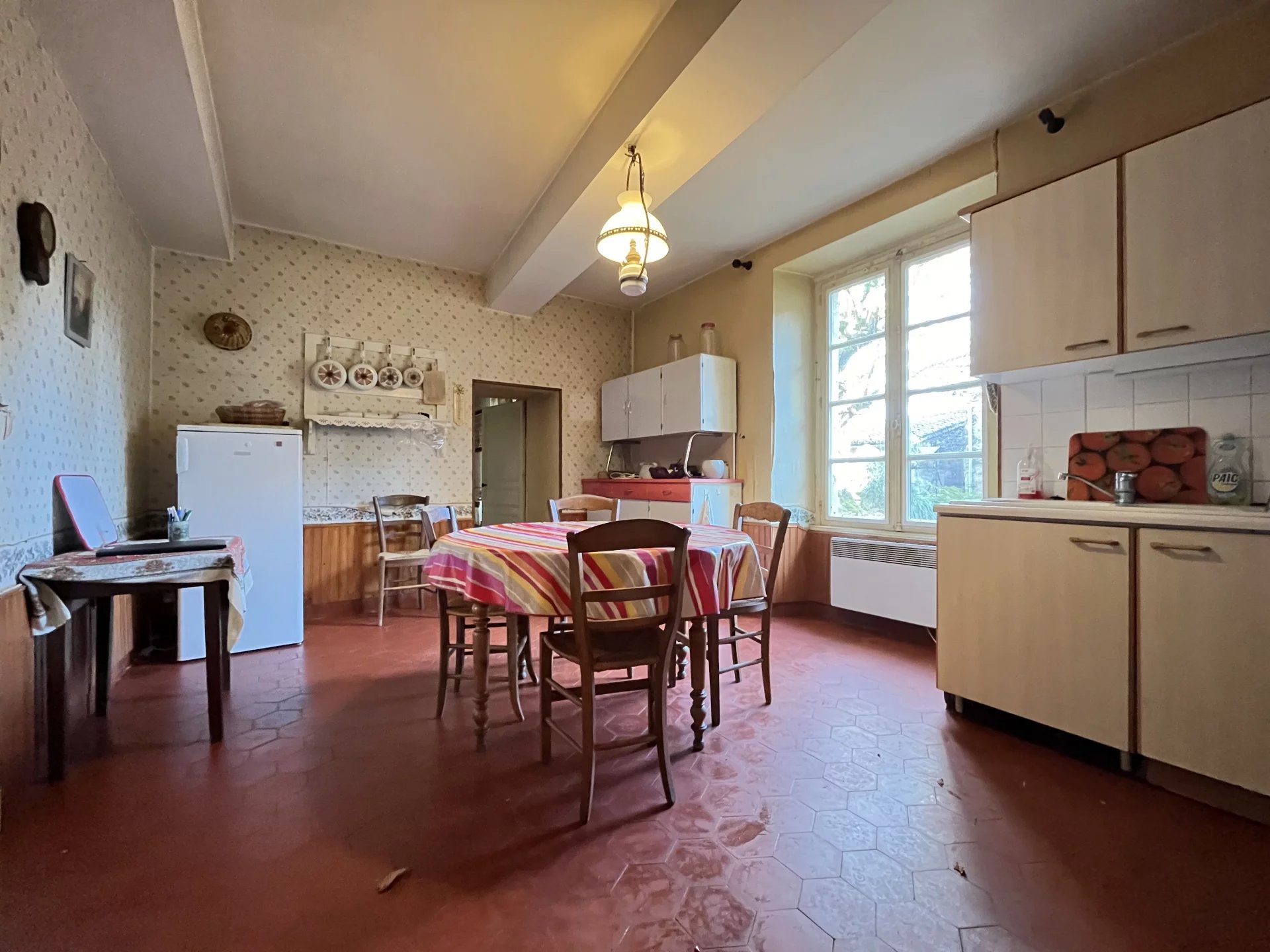 Unbelievable! Large village house with 4 ha close to Montmorillon, Poitou-Charentes – France – BVI77793