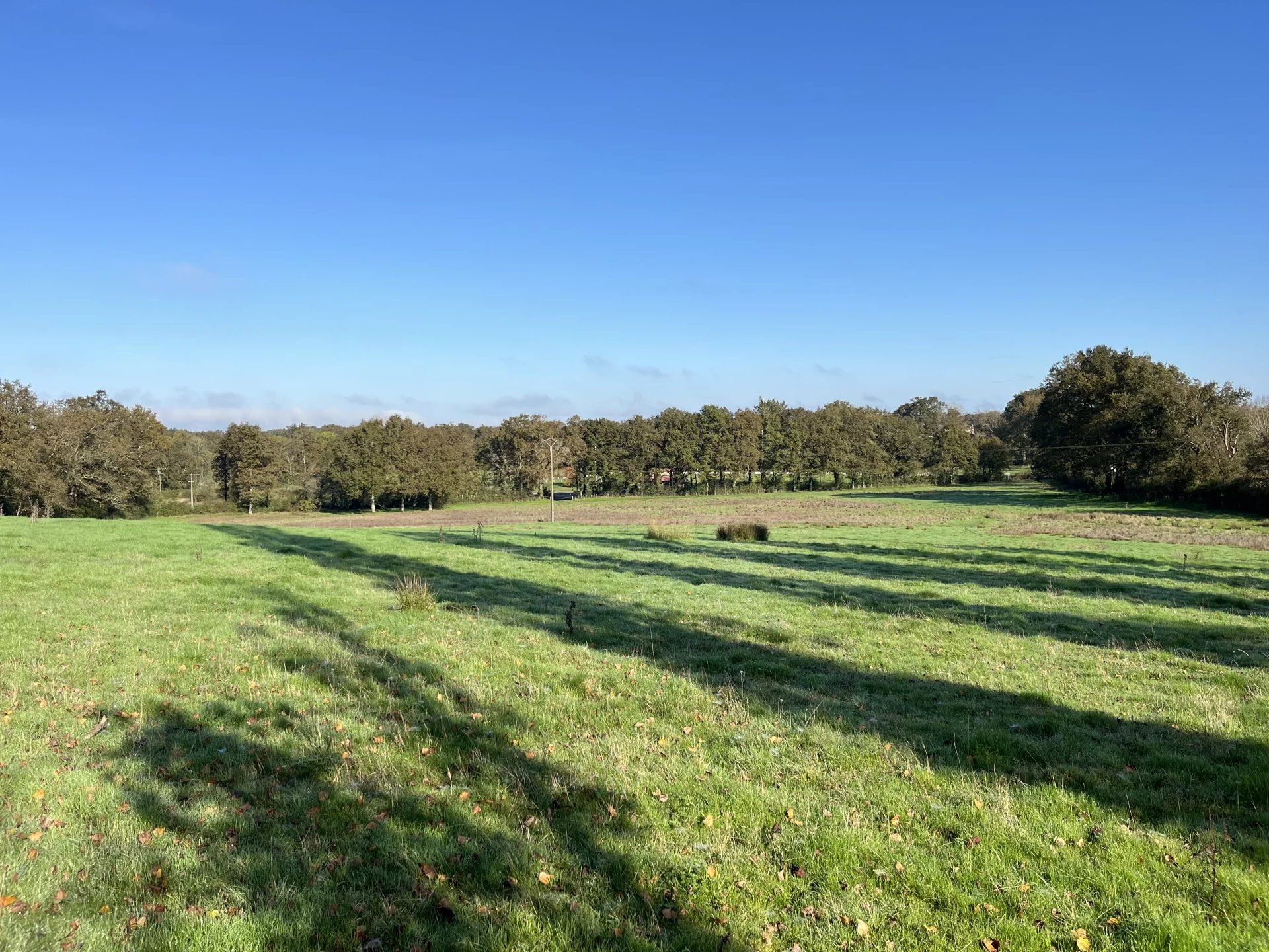 Unbelievable! Large village house with 4 ha close to Montmorillon, Poitou-Charentes – France – BVI77793