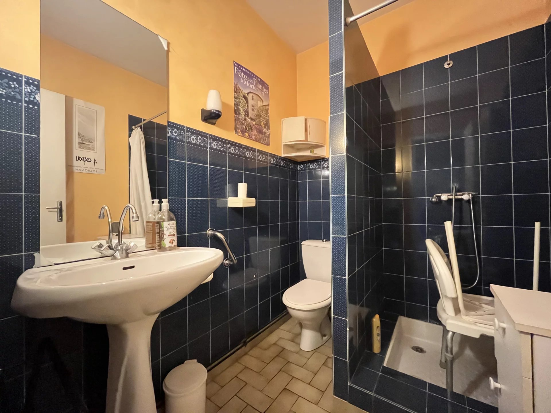 Unbelievable! Large village house with 4 ha close to Montmorillon, Poitou-Charentes – France – BVI77793