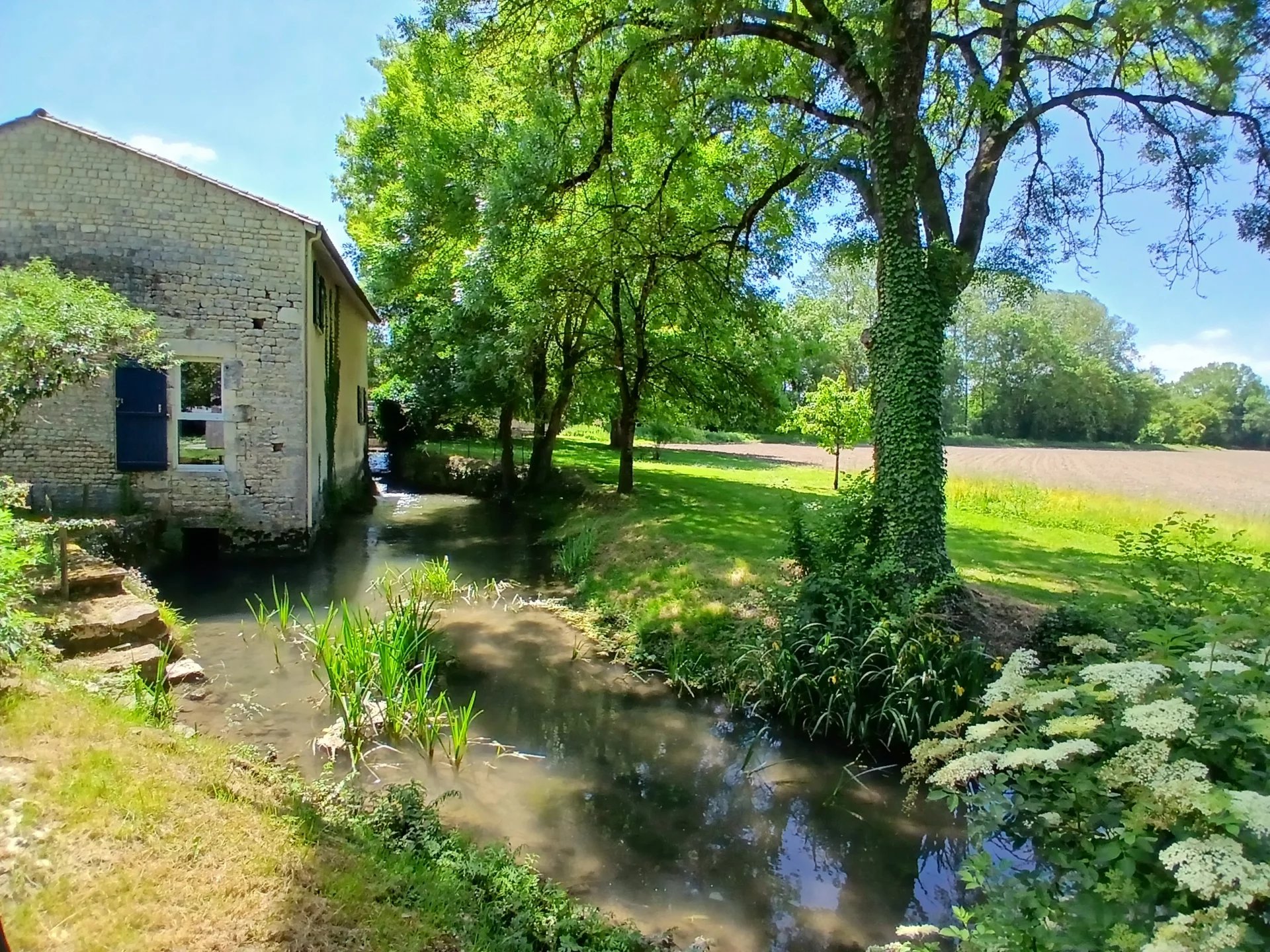 Former mill with independent 32m² contemporary garden studio, Poitou-Charentes – France – BVI81020