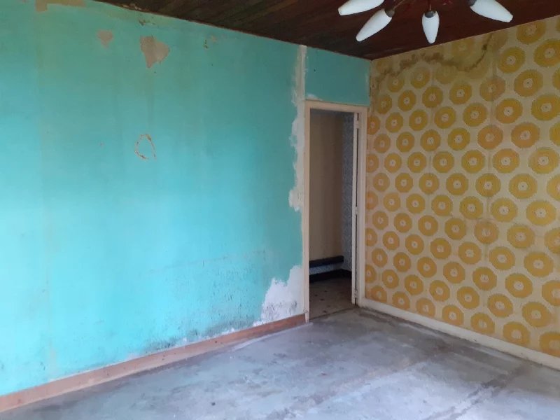 Property to renovate with no close neighbours and 5000m² of land, Poitou-Charentes – France – BVI64449