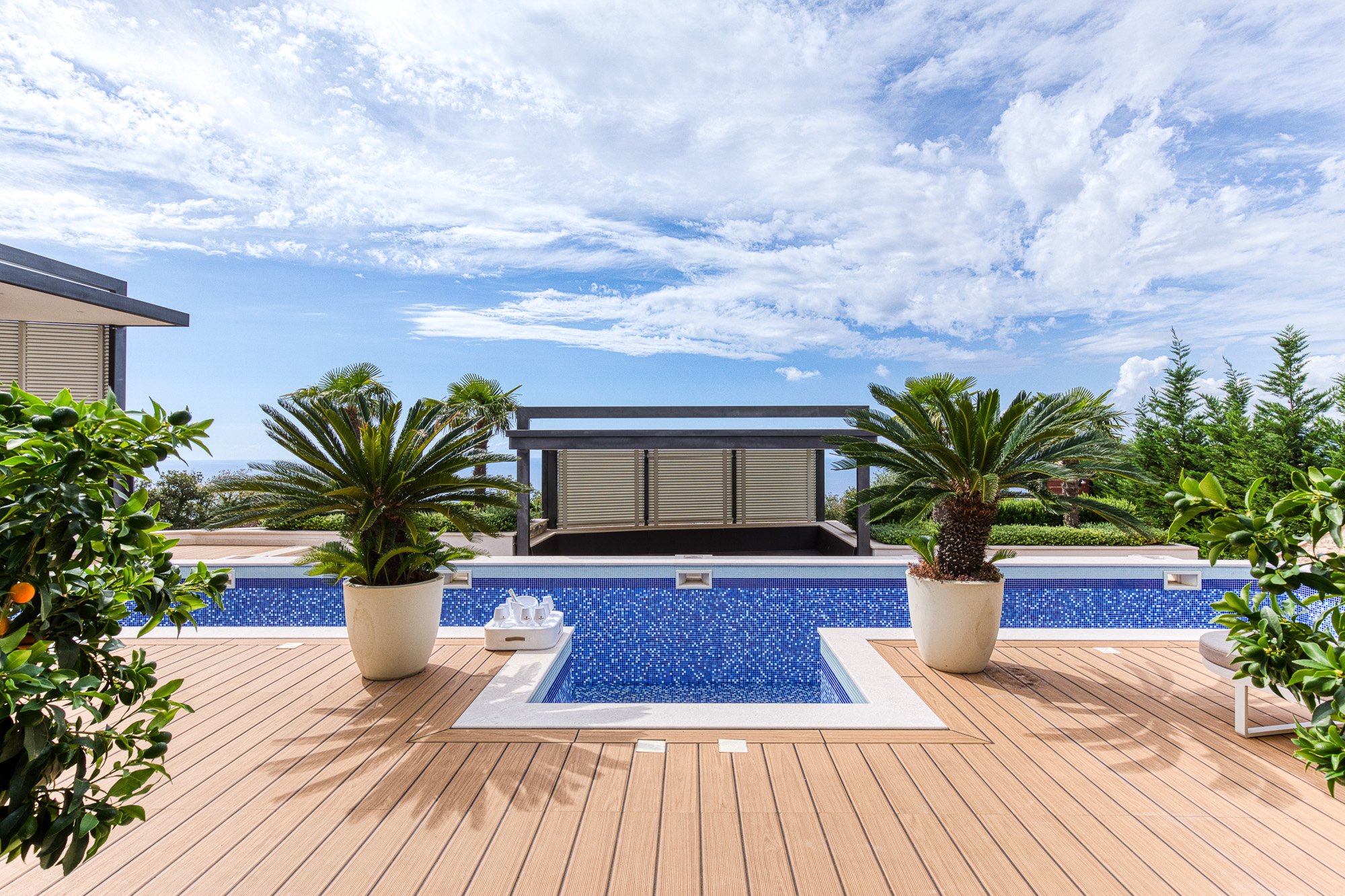 Exclusive Villa in Blizikuće, near Sveti Stefan