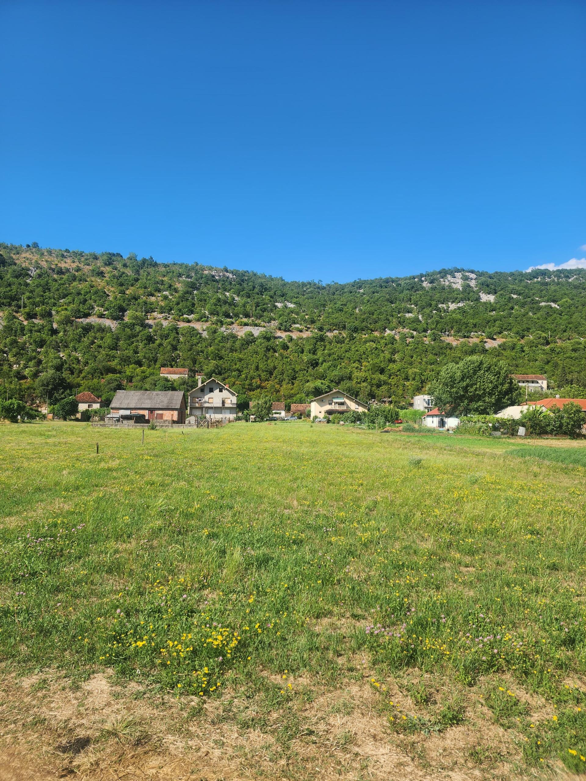 FOR SALE – Family property with large land and orchard, near Danilovgrad