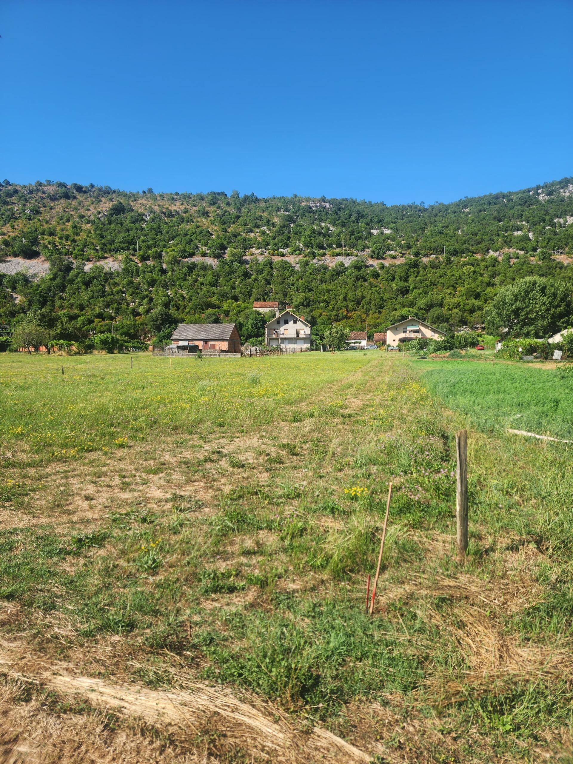 FOR SALE – Family property with large land and orchard, near Danilovgrad