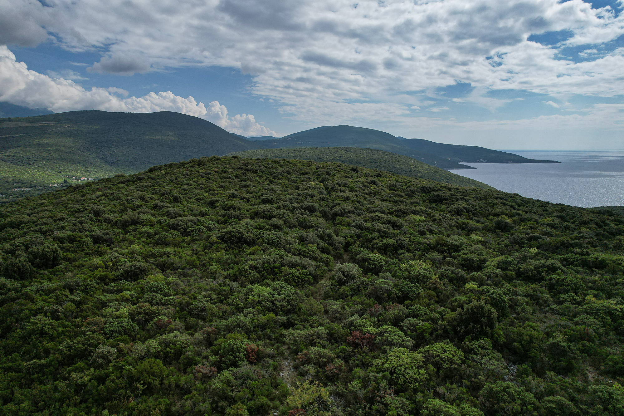 Plot in Bigova