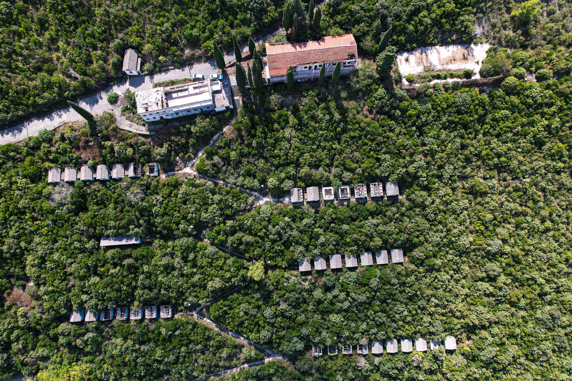 Plot in Bigova