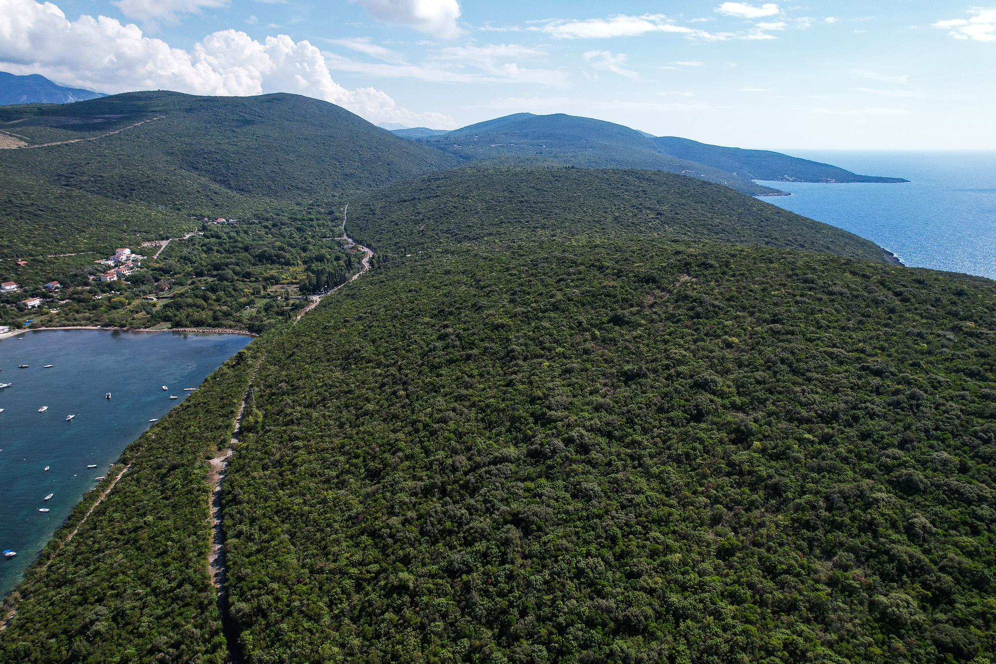 Plot in Bigova