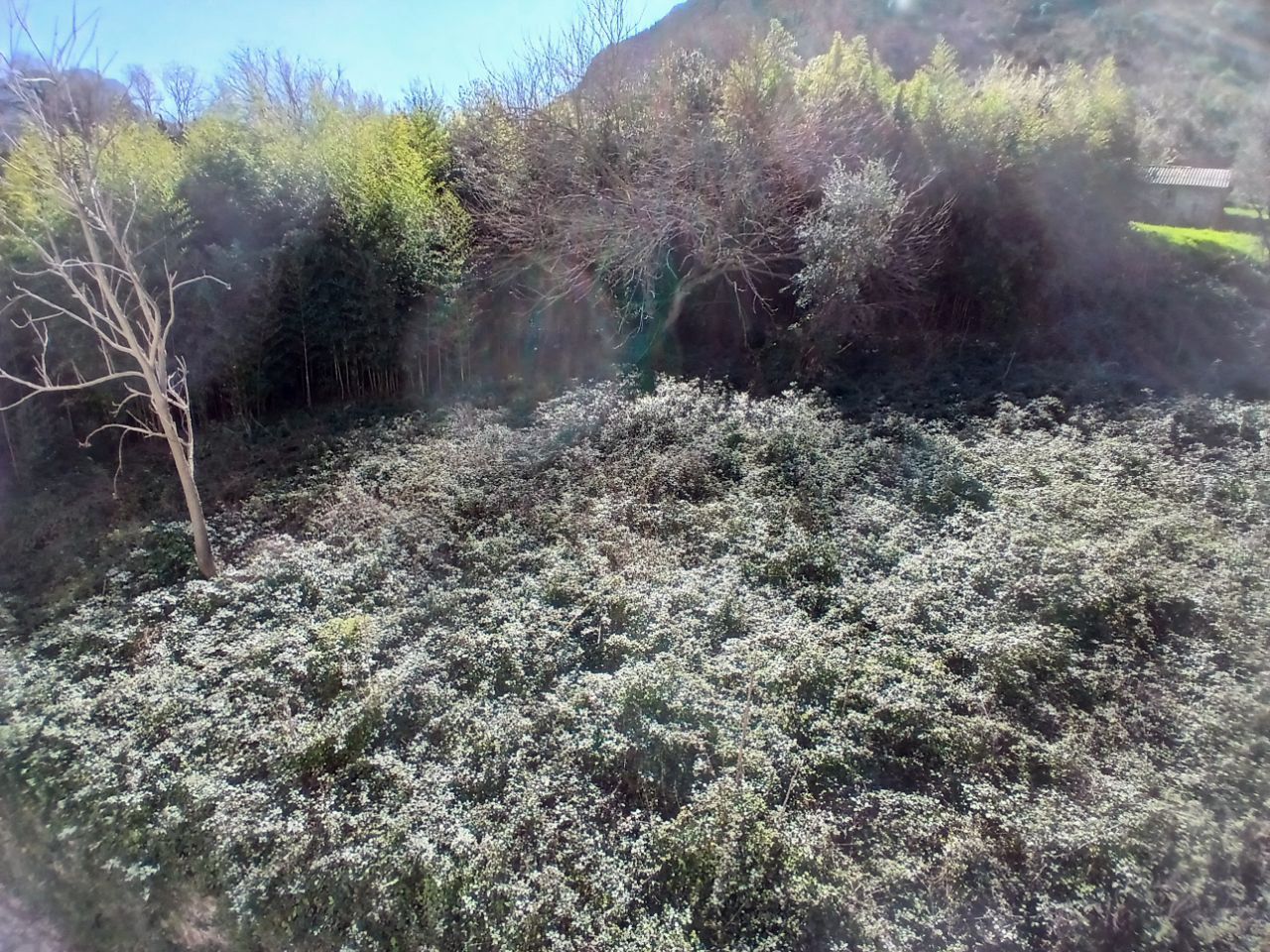 Plot 2,400 m² for Sale in Stoliv, Kotor – Near Hyatt Hotel