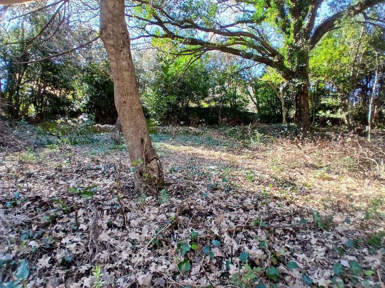 For Sale: Prime Waterfront Plot in Stoliv, Kotor – 2,200 m²