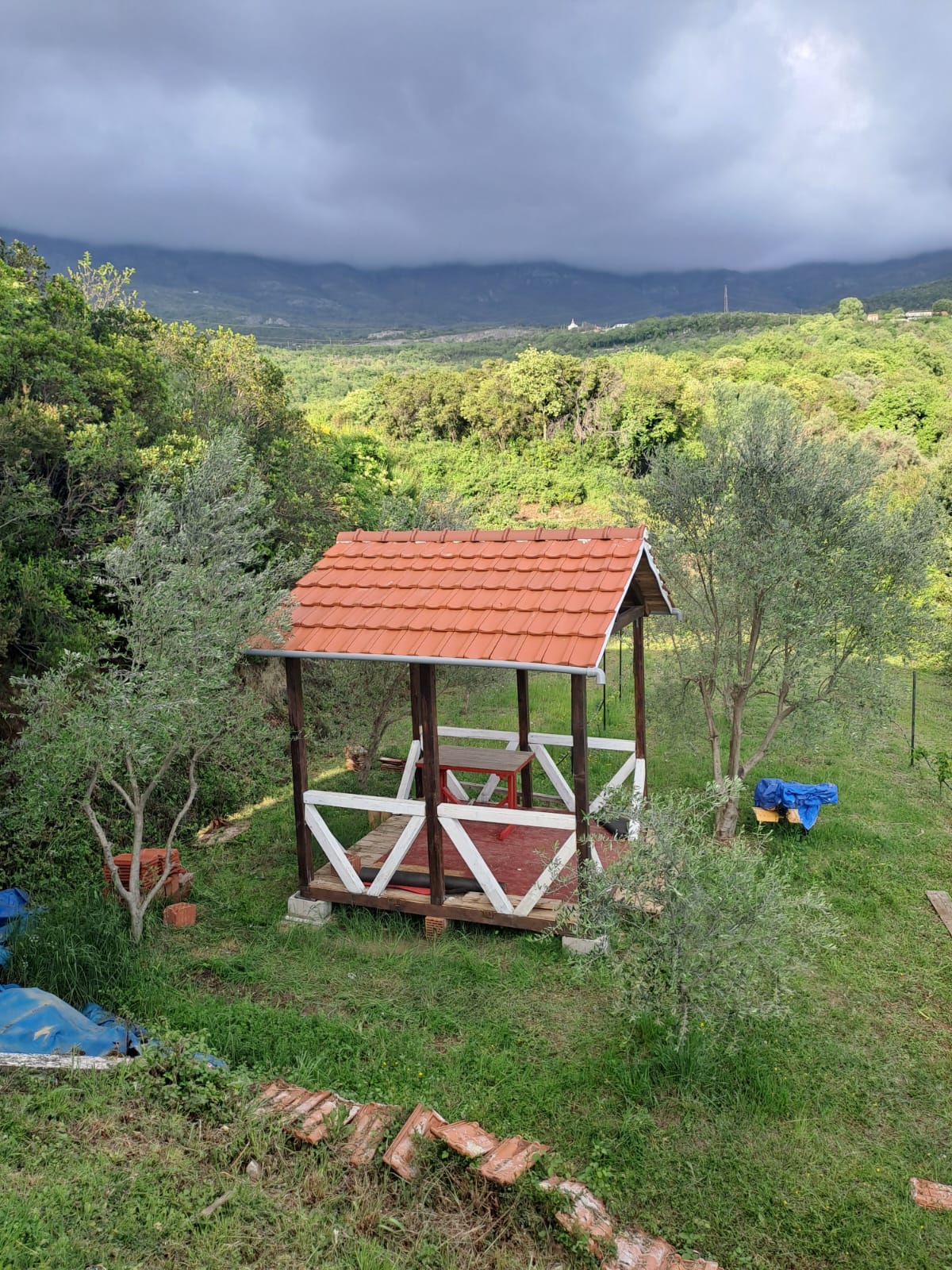 Spacious House on a spectacular large  Plot with Olive Trees