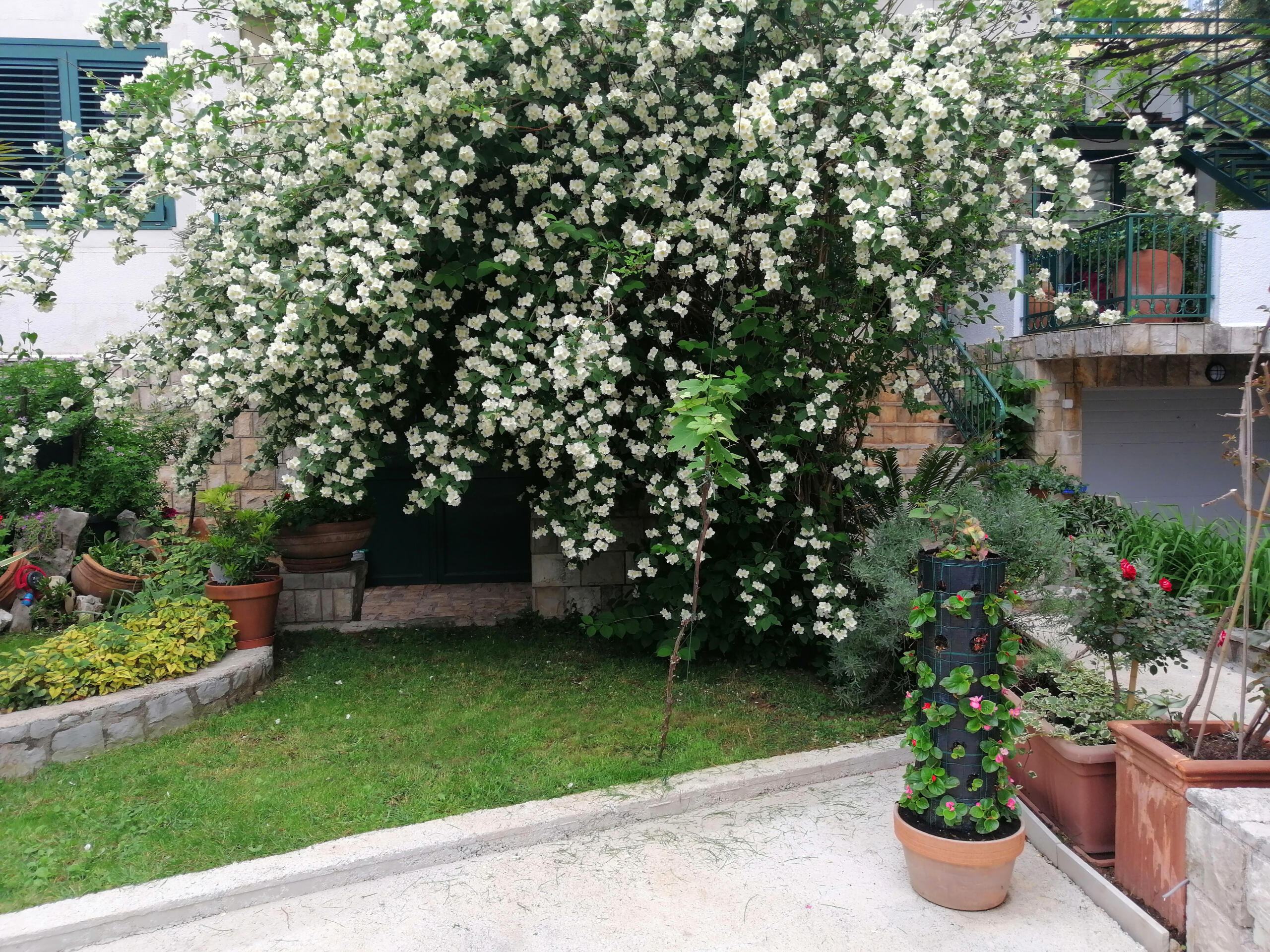 Spacious house in Budva
