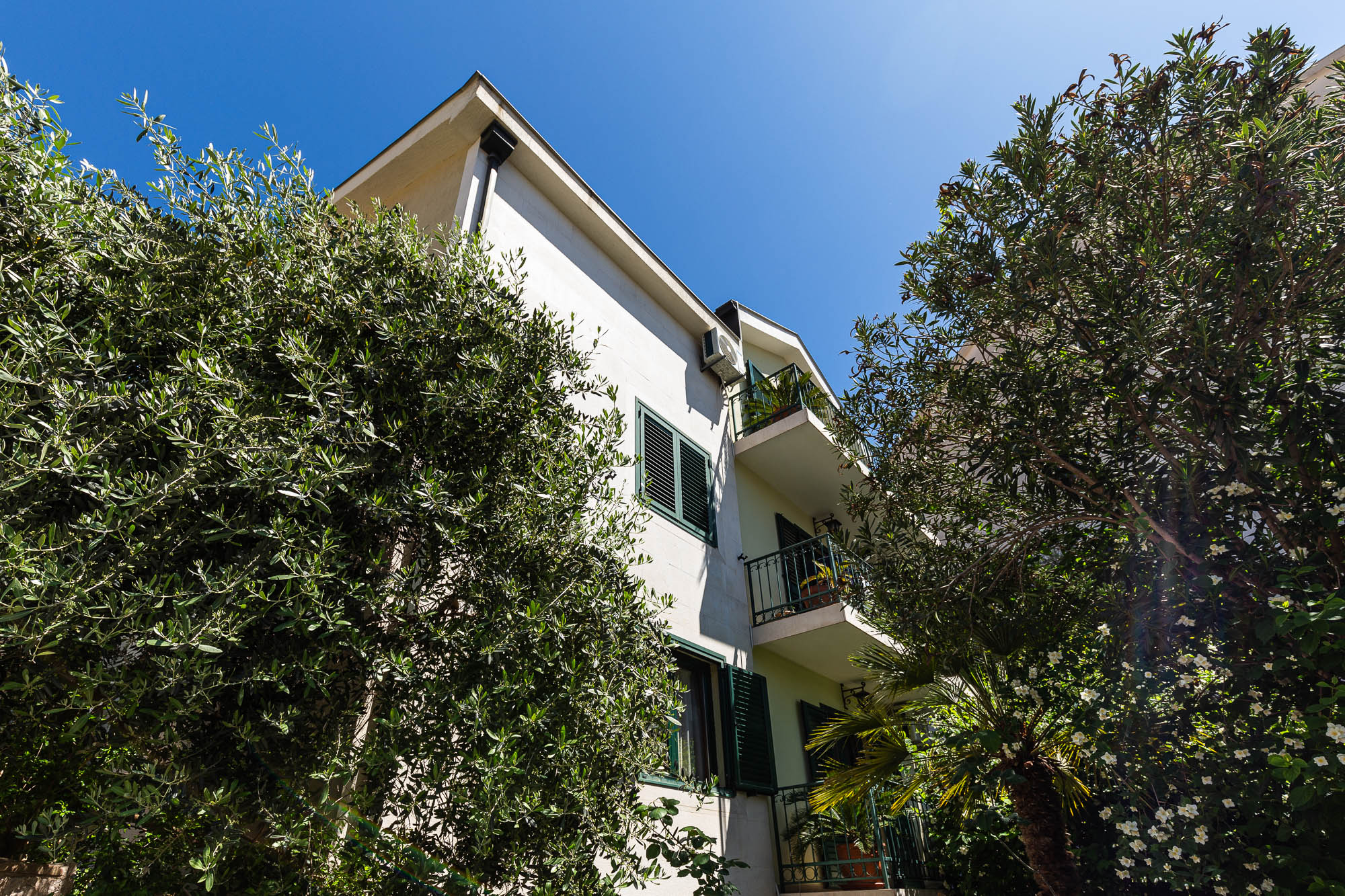 Spacious house in Budva