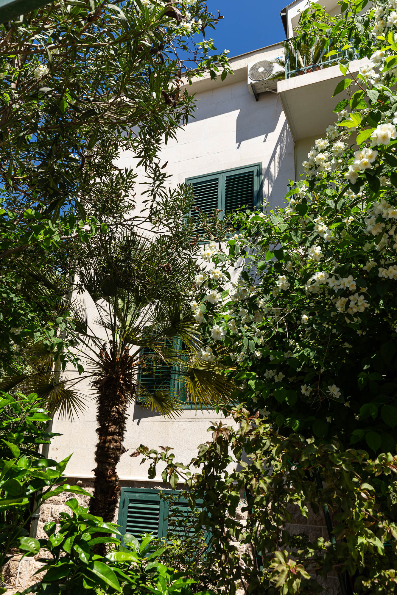 Spacious house in Budva