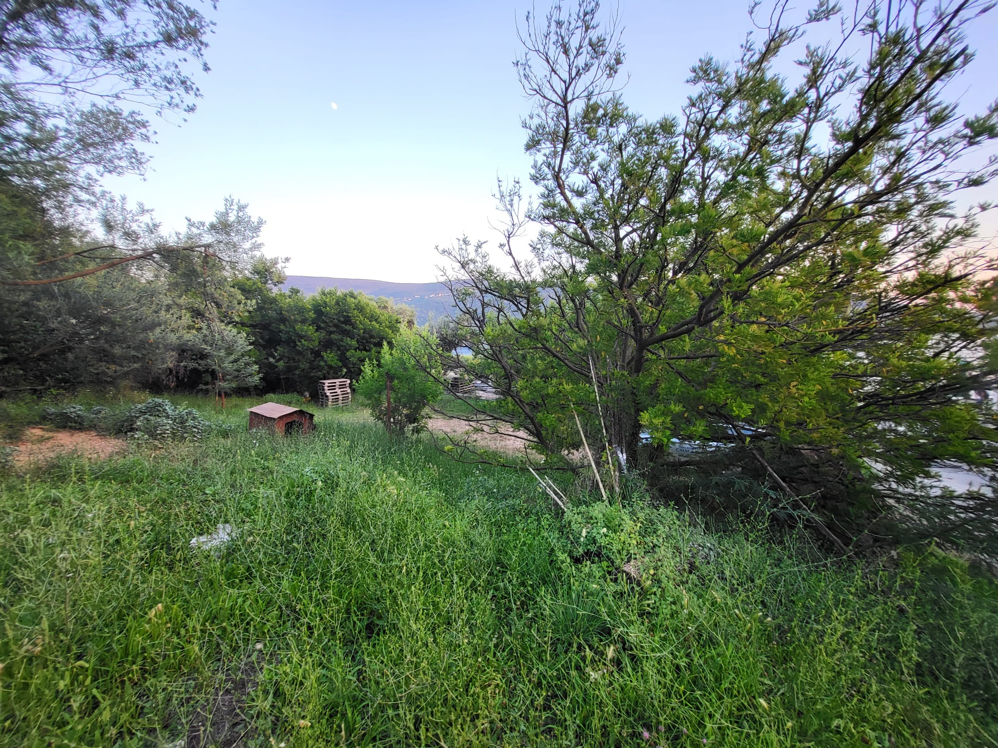 Plot with Sea View in Kumbor for Luxury Villa Construction