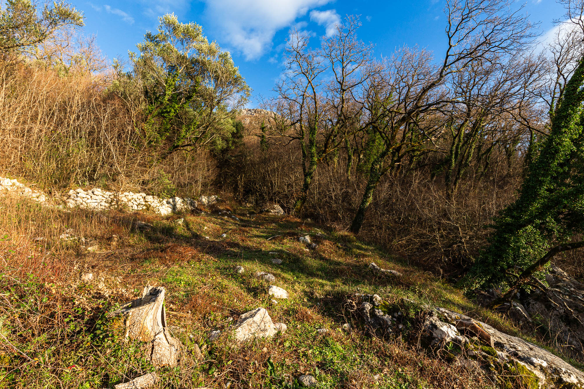 2170 m² Land in Kuljače