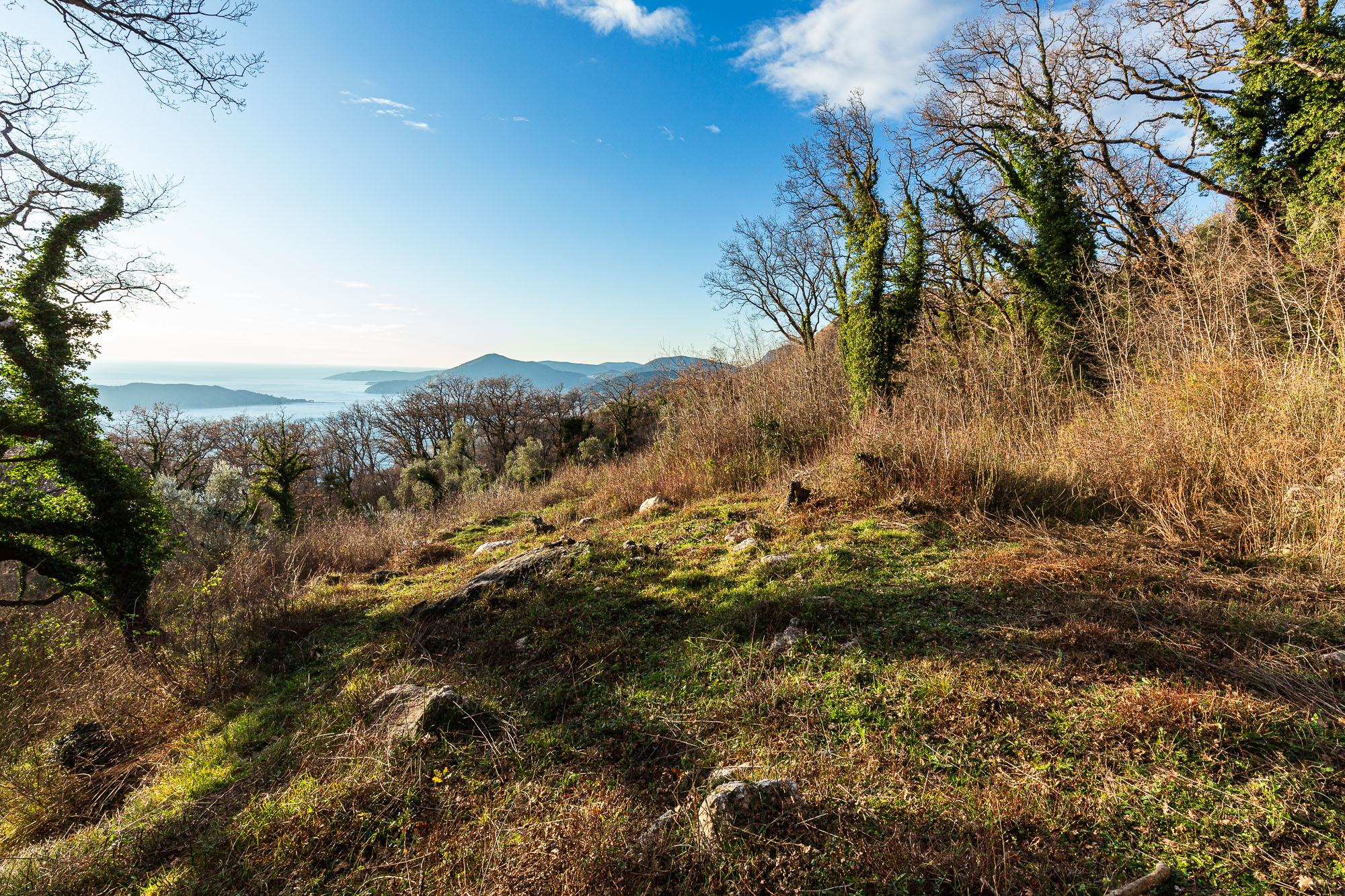 2170 m² Land in Kuljače