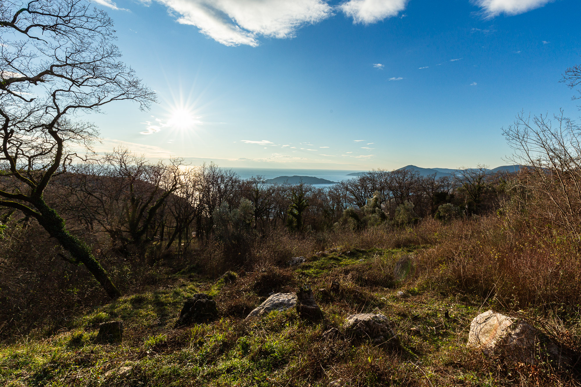2170 m² Land in Kuljače