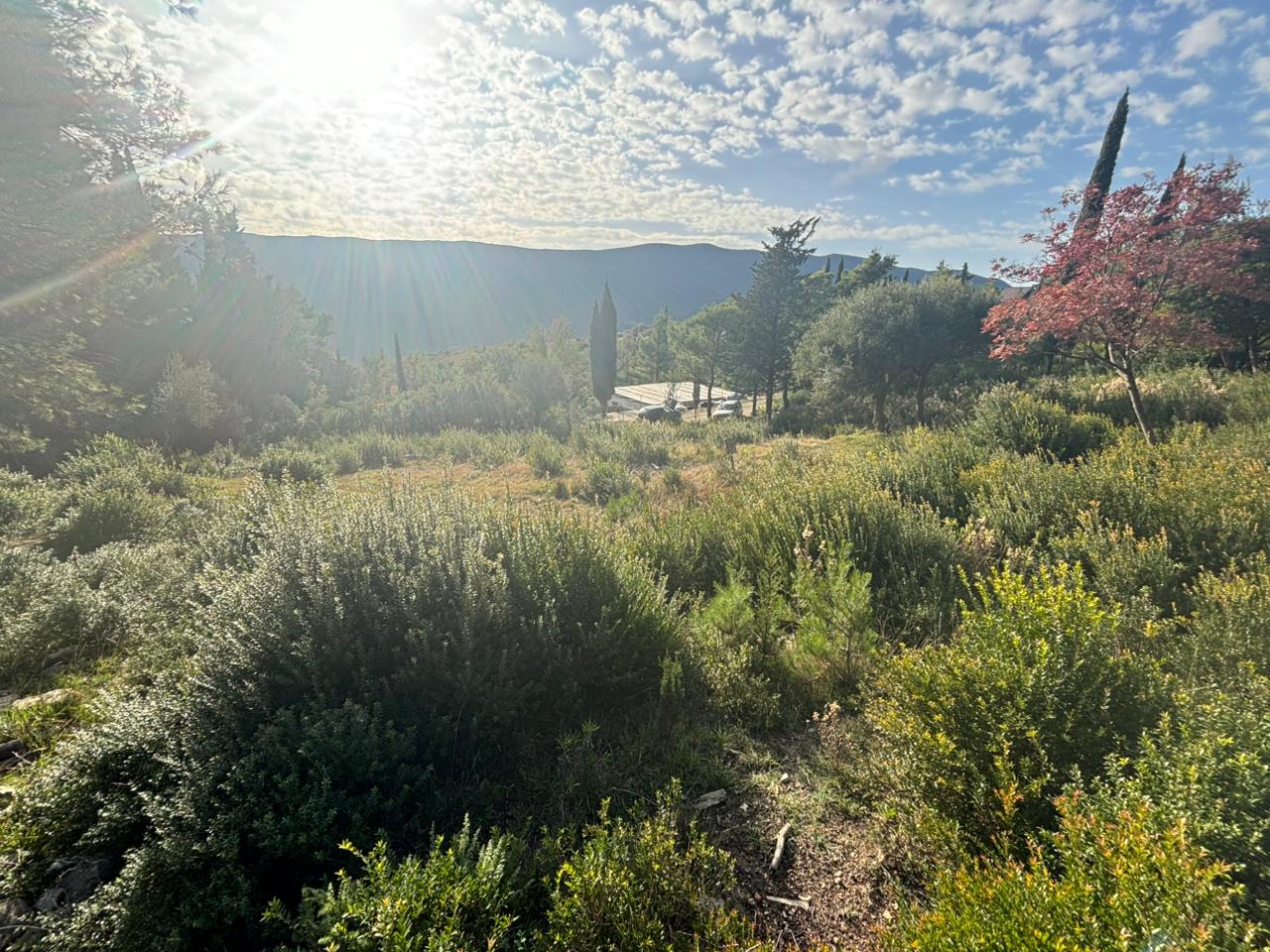 Beautiful plot surrounded by nature in Mojdež, Herceg Novi