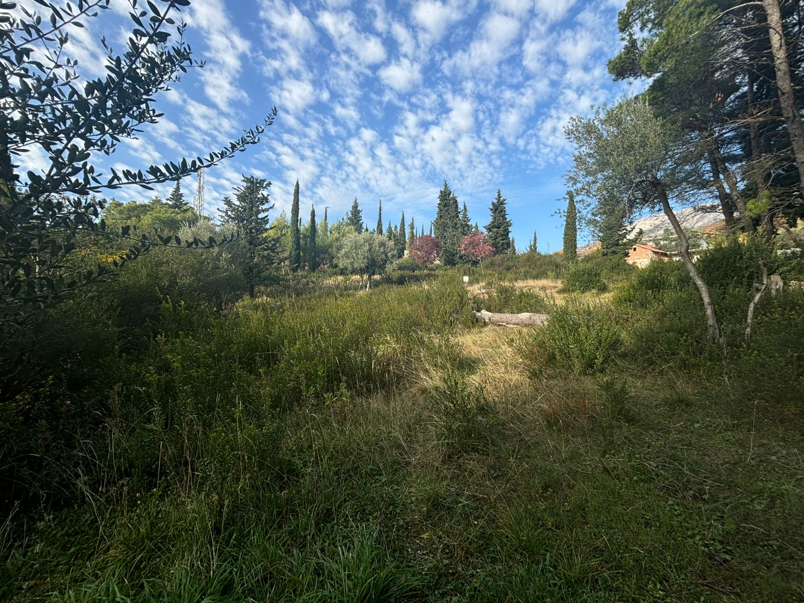 Beautiful plot surrounded by nature in Mojdež, Herceg Novi