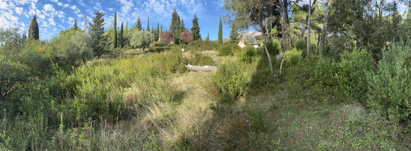 Beautiful plot surrounded by nature in Mojdež, Herceg Novi