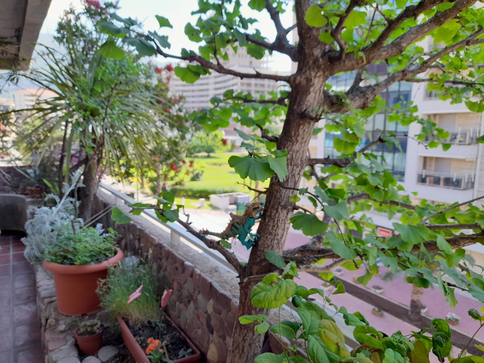 Sea View Gem: Apartment for Sale in Budva