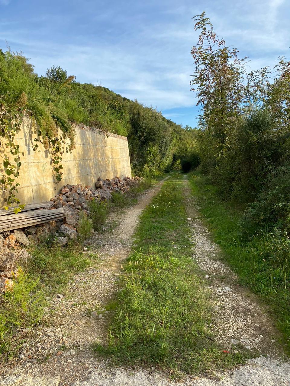 Land in Radanovići 1463 m²