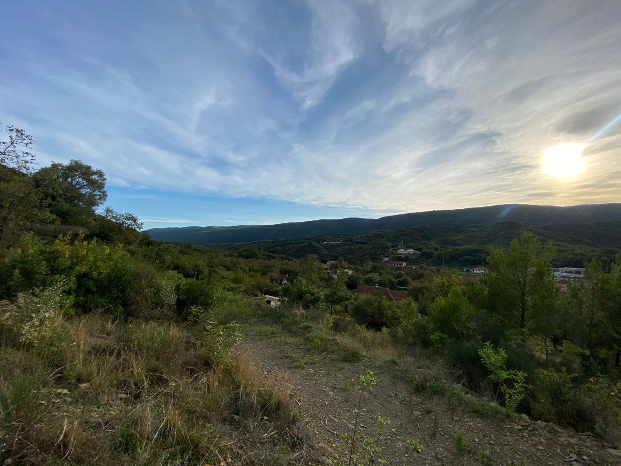 Land in Radanovići 1463 m²