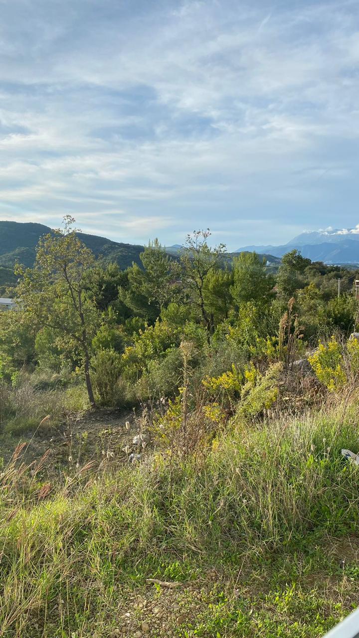 Land in Radanovići 1463 m²
