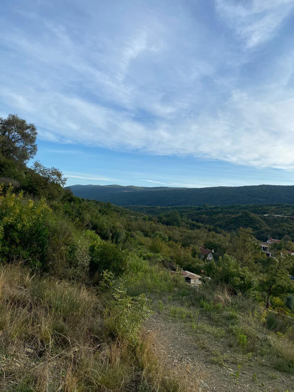 Land in Radanovići 1463 m²