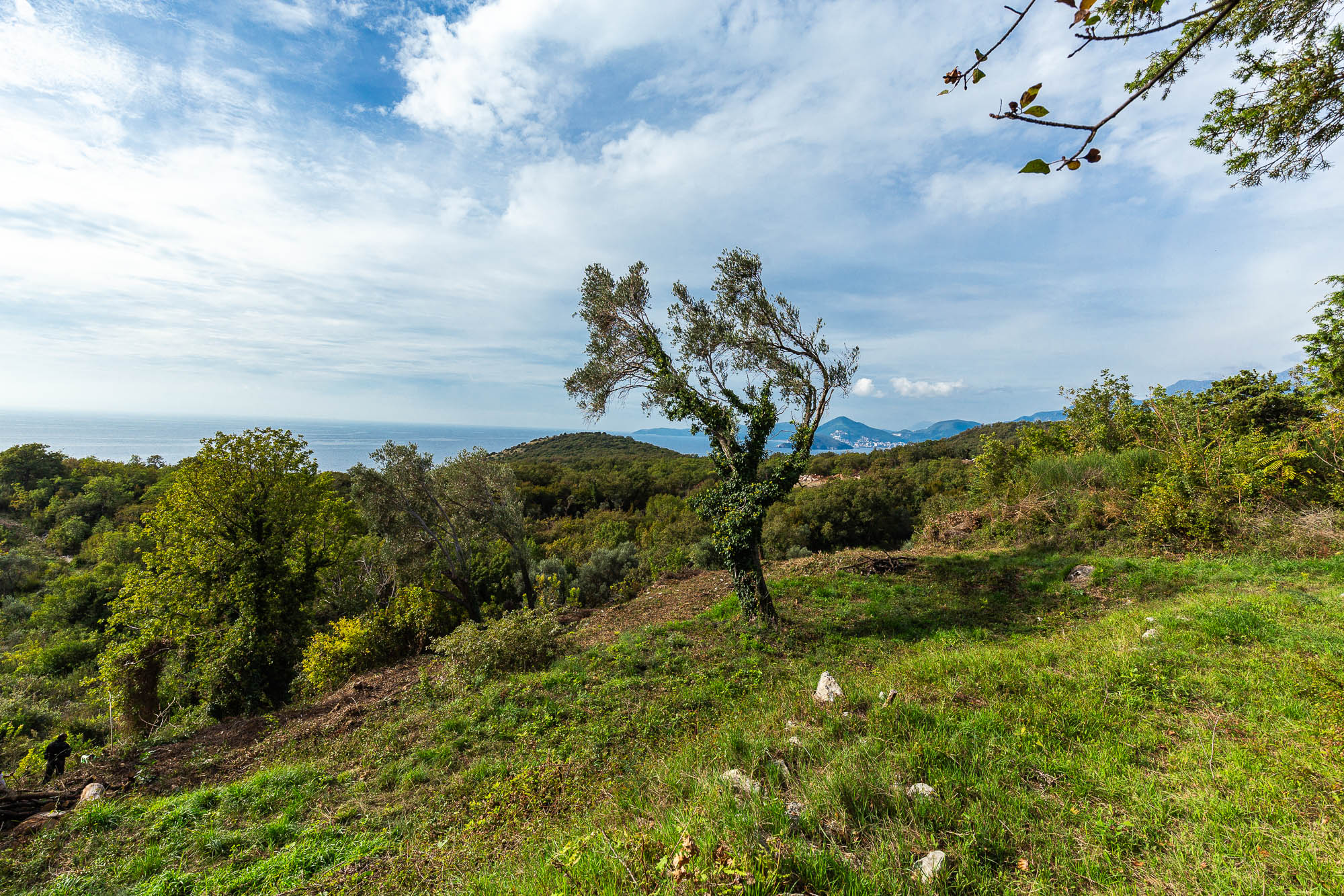 Plot for sale in Reževići, 975 m²