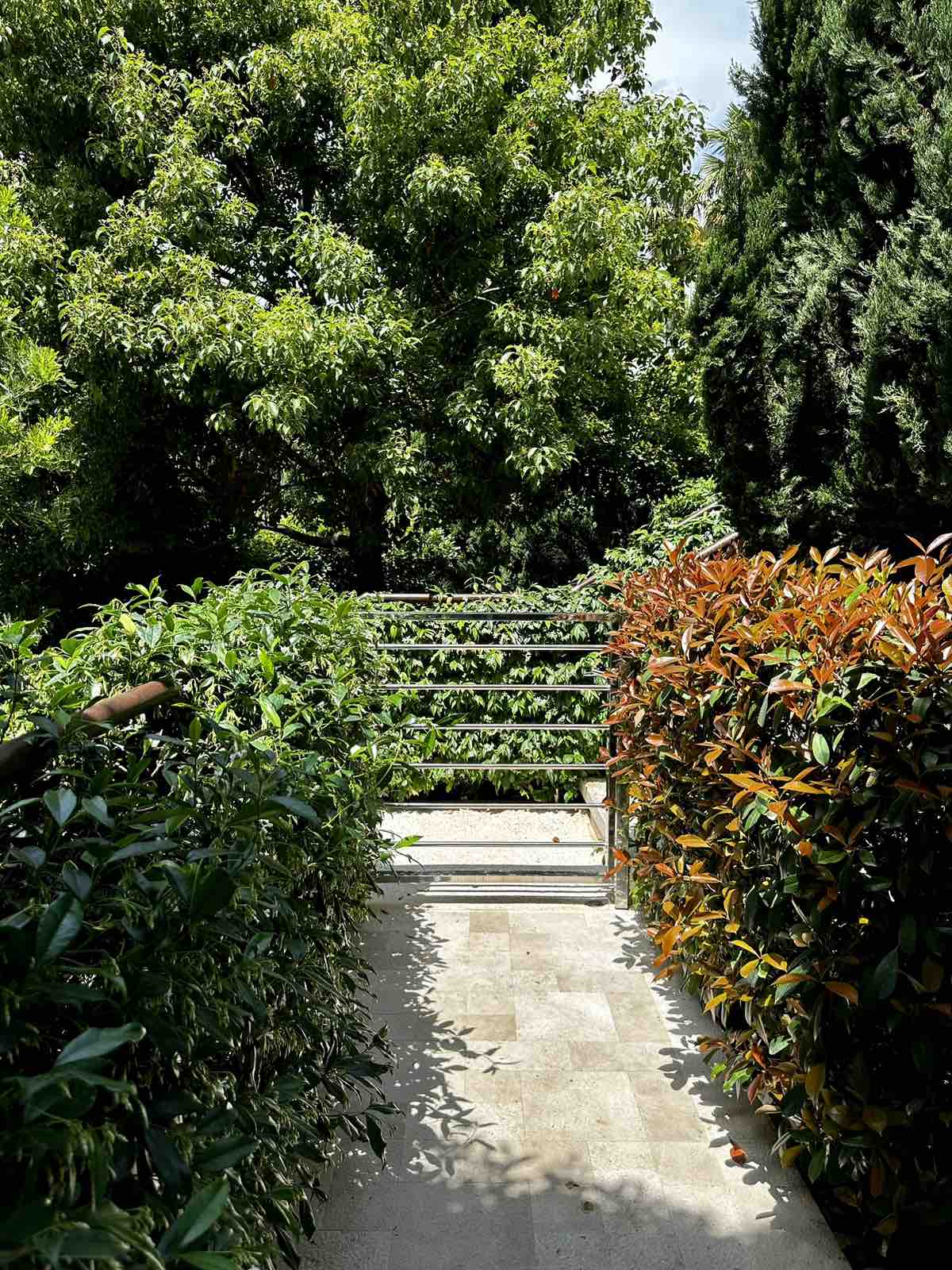 Luxurious apartment in Budva with sea view