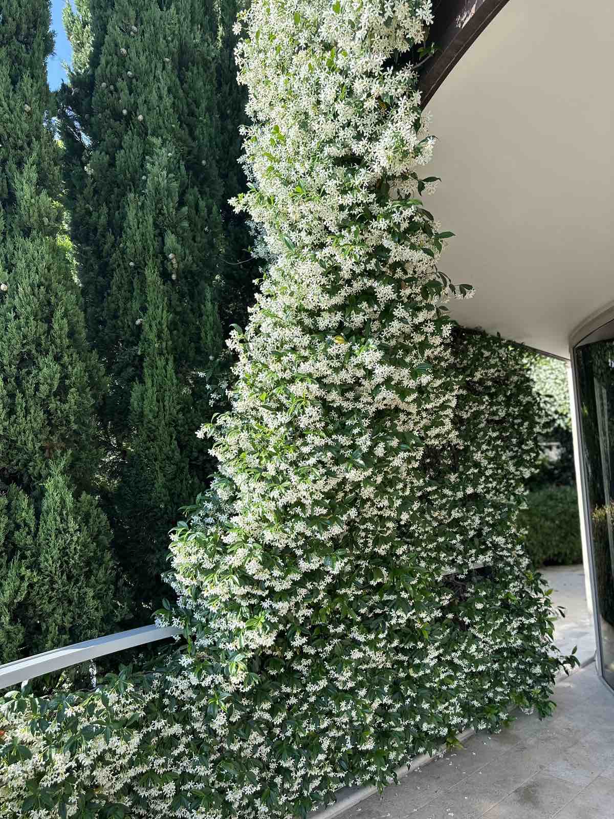 Luxurious apartment in Budva with sea view