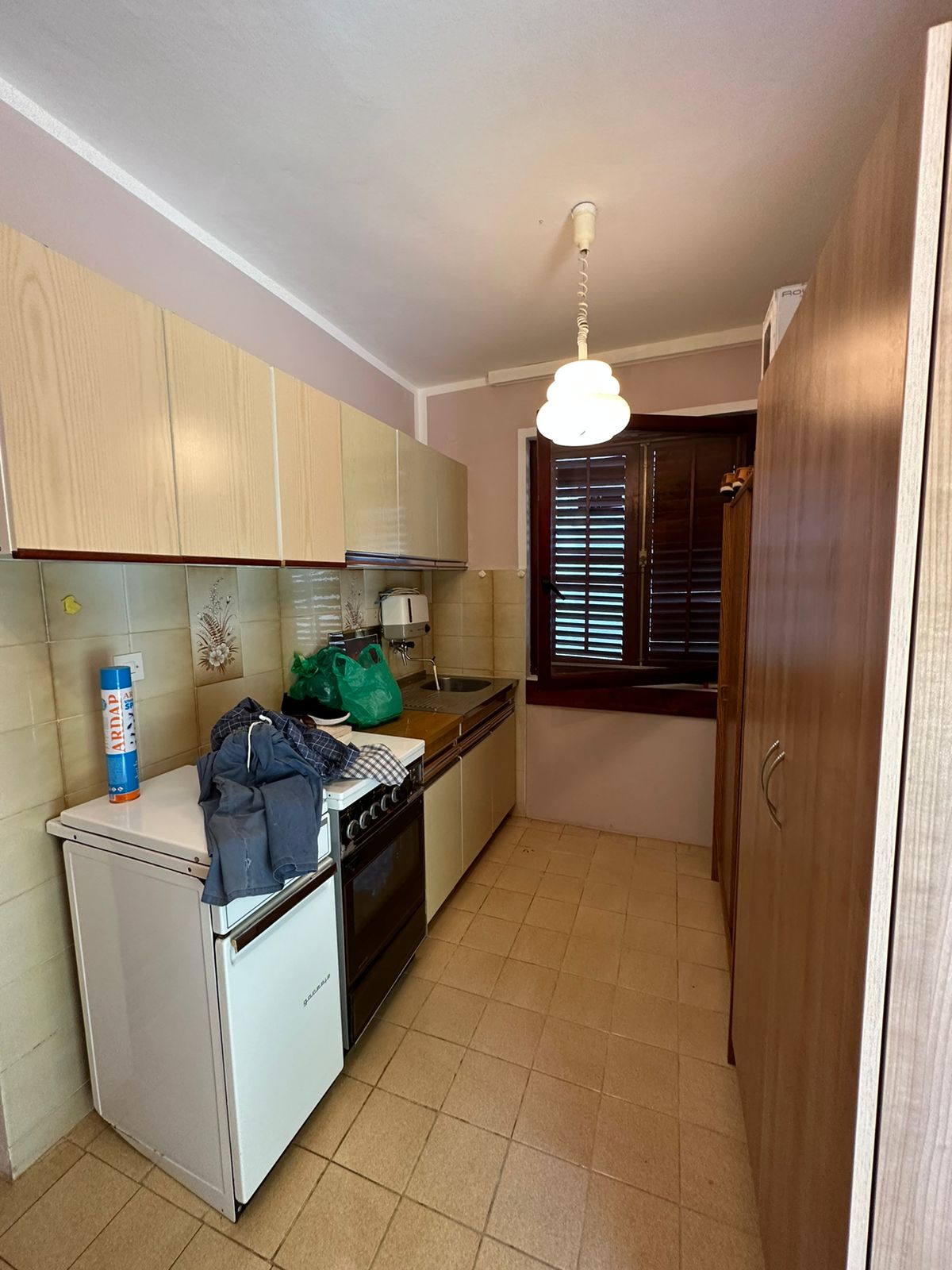 Spacious house for sale in Djenovici