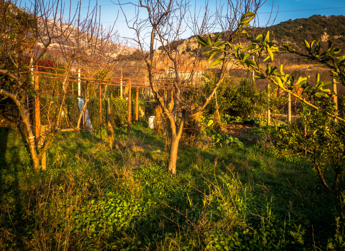 House with a plot and a panoramic view of Budva