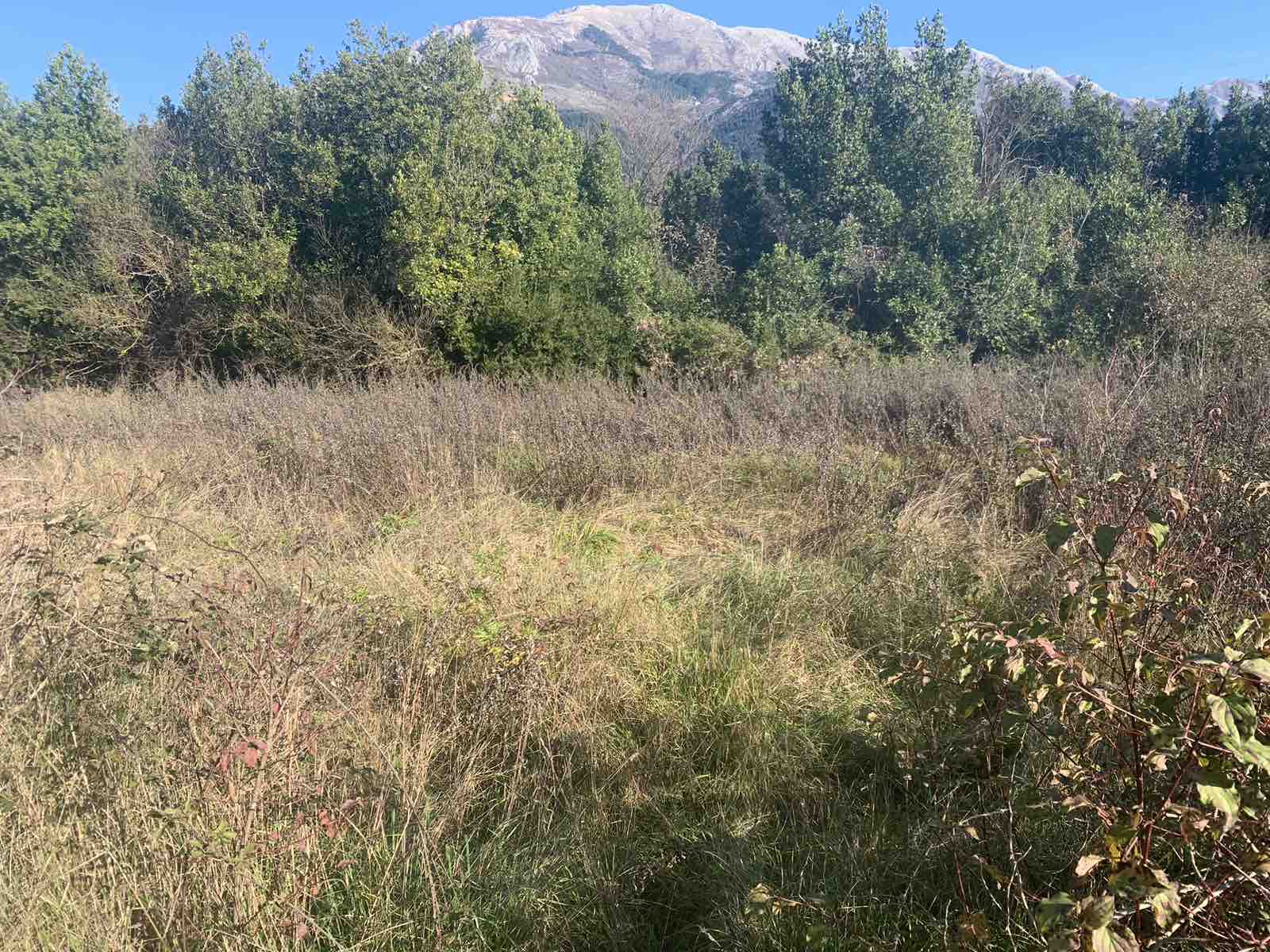 Urbanized plot near Kotor