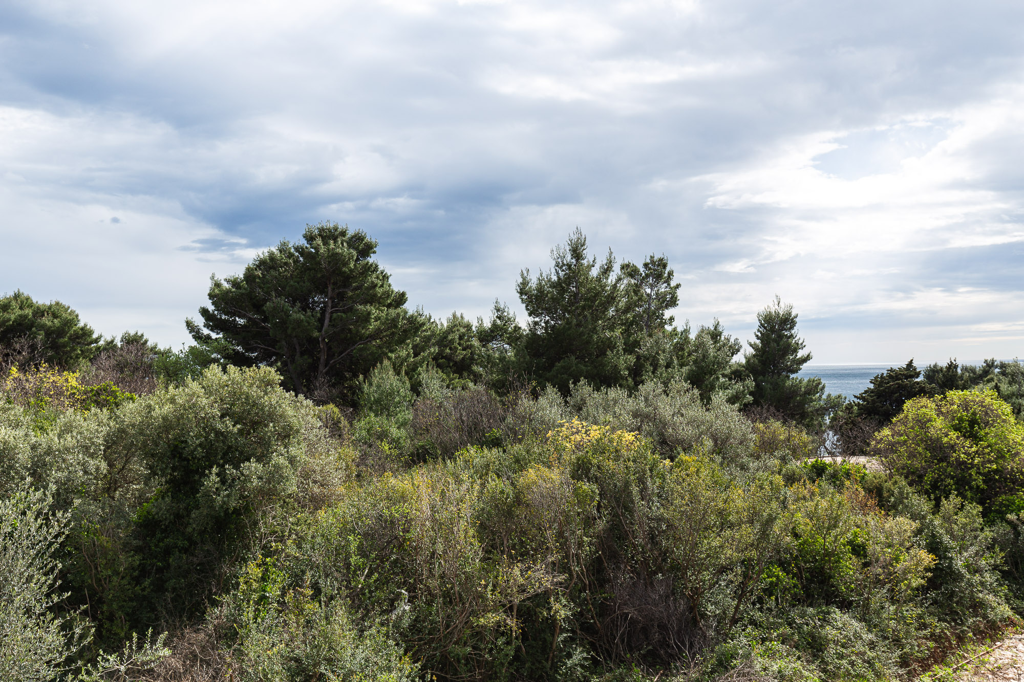 Luxurious three-storey villa with a large yard