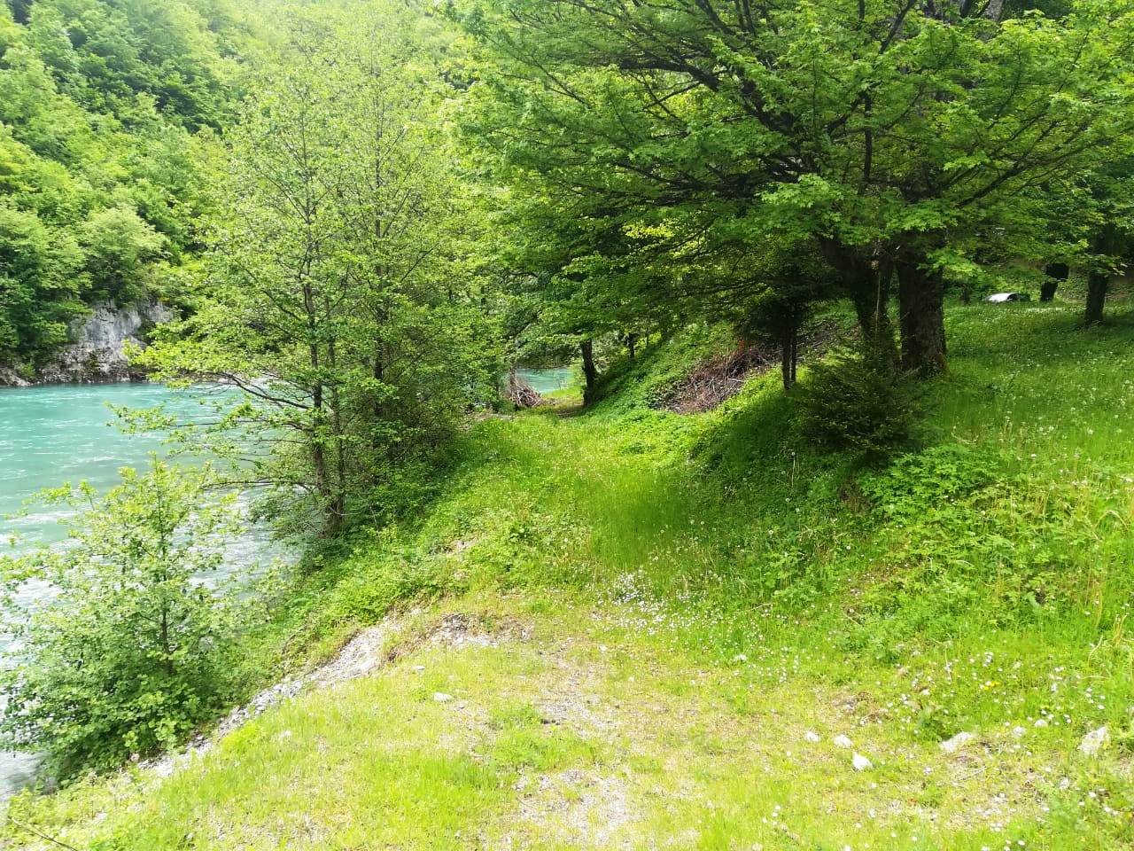 Plot on the bank of the river Tara