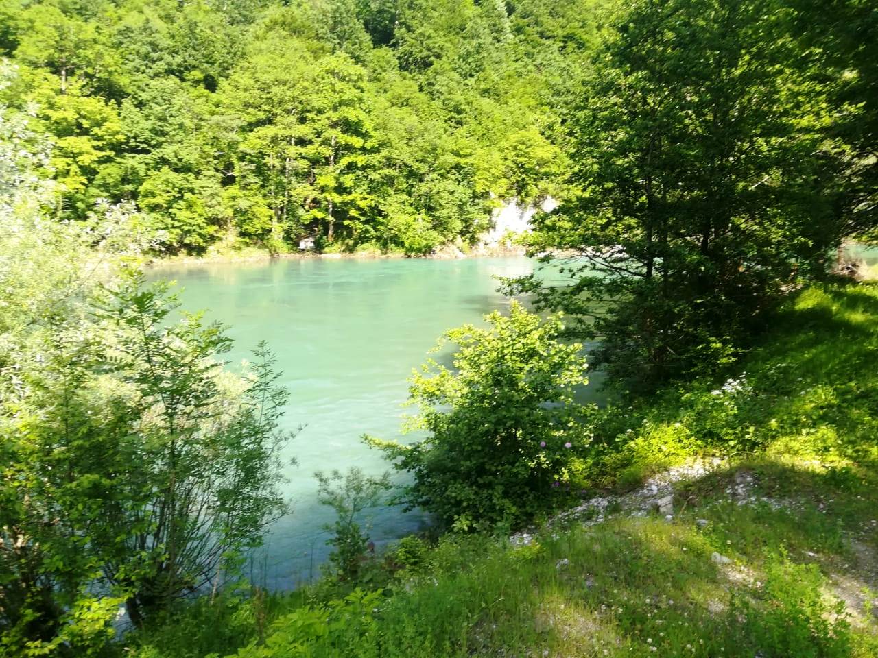 Plot on the bank of the river Tara