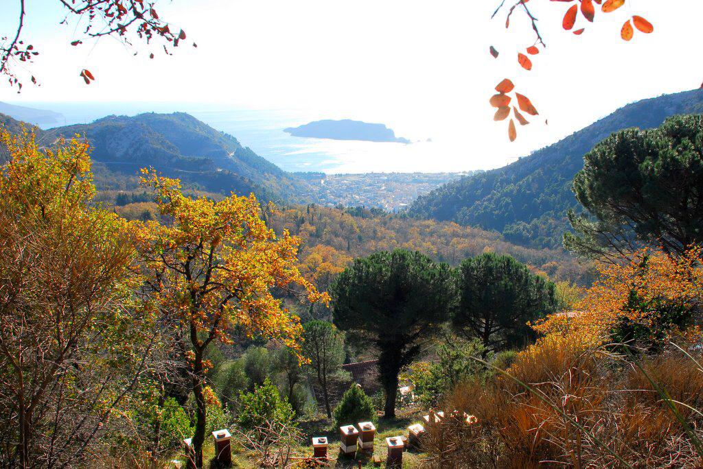 Urbanized plot in Markovice