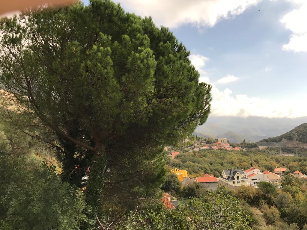 Urbanized plot in Markovice