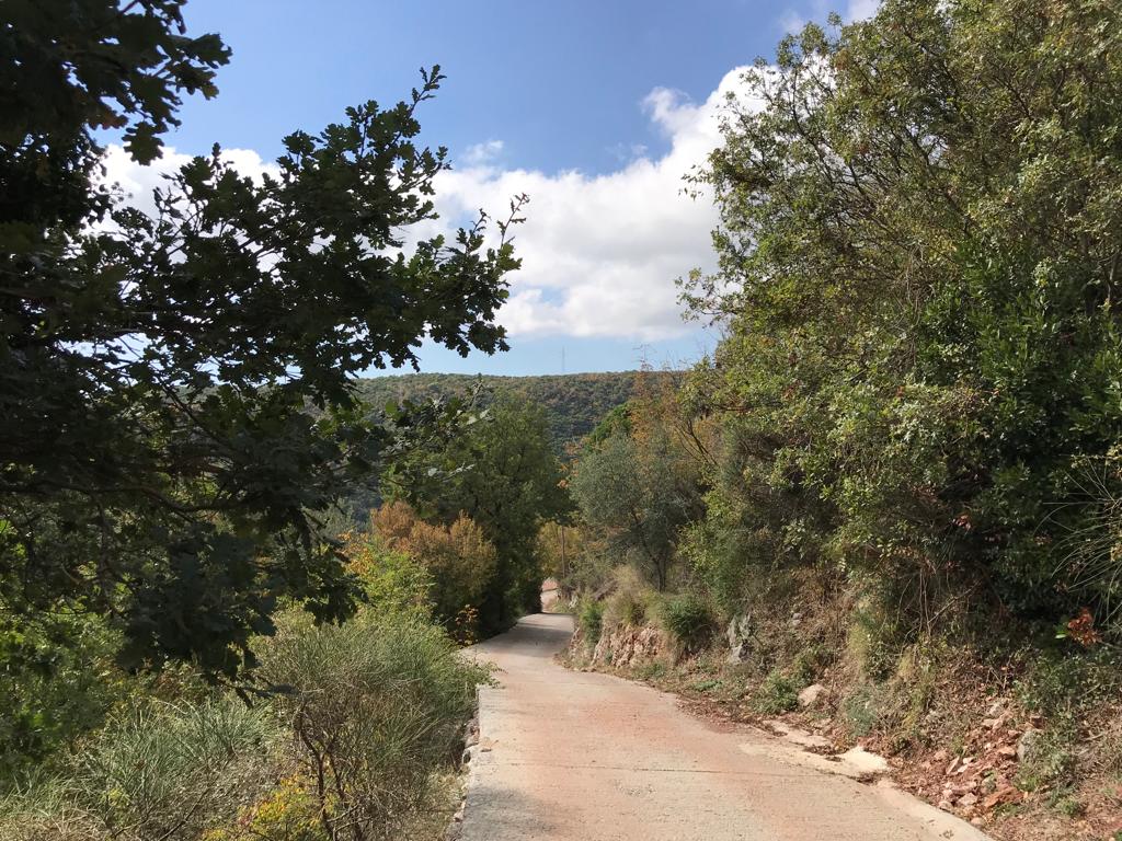 Urbanized plot in Markovice
