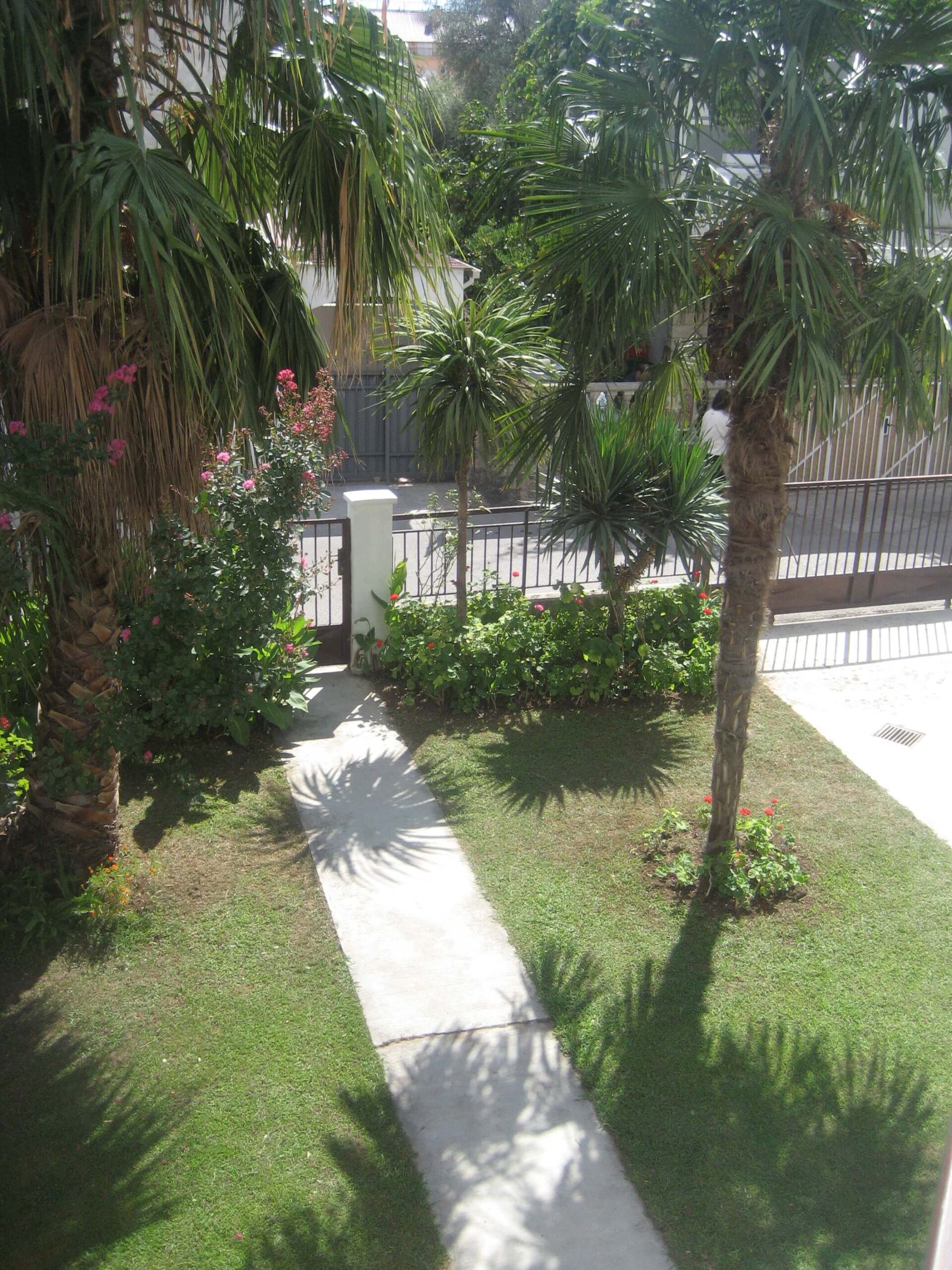 Spacious house surrounded by palm trees