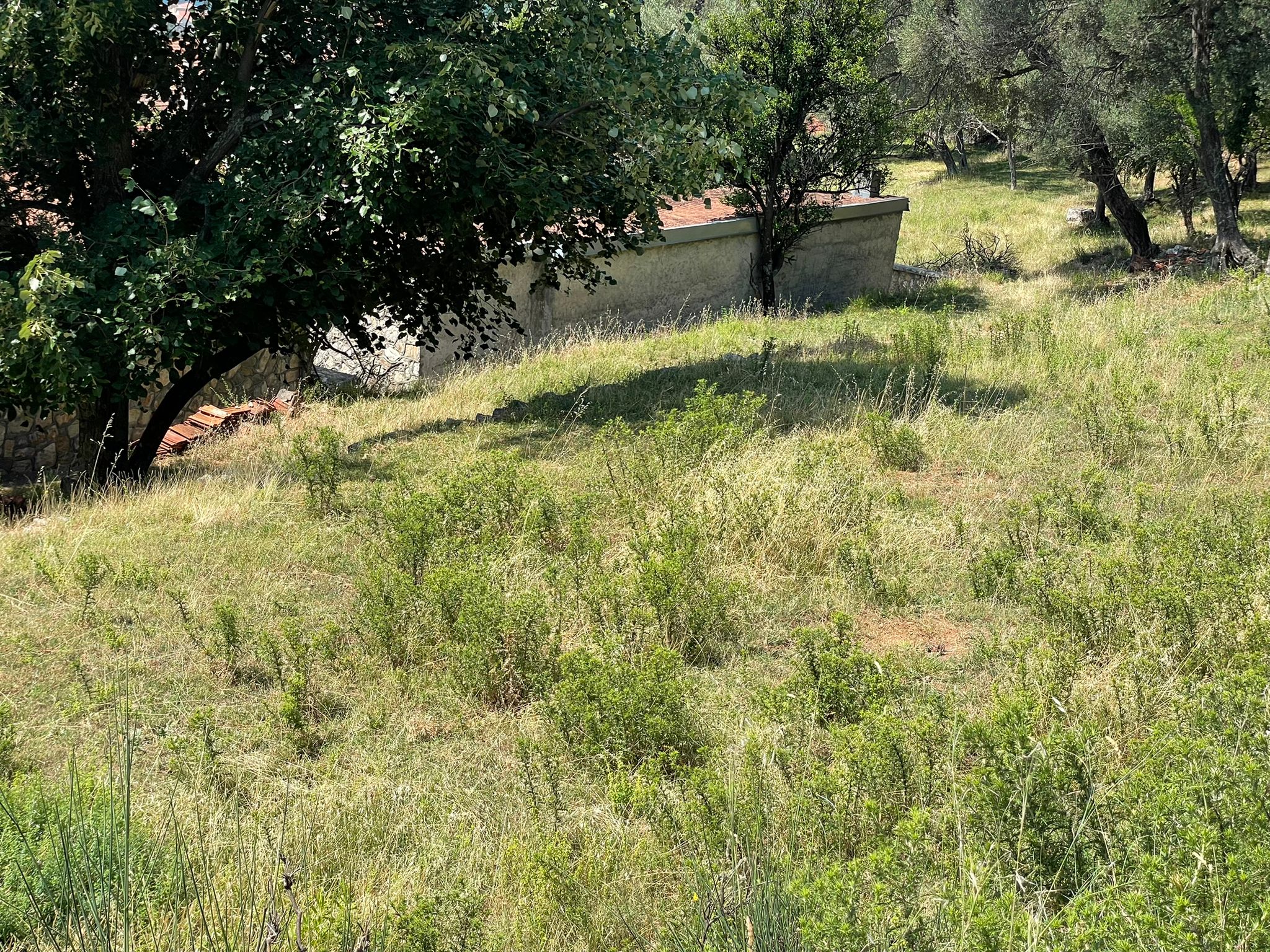 Stone house with a seaview