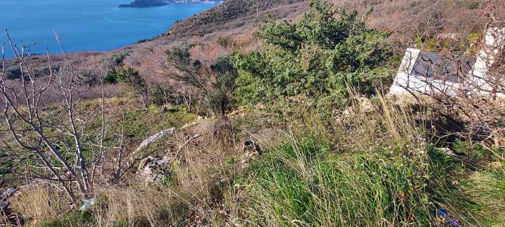 Plot in Blizikuce, Sveti Stefan, Budva
