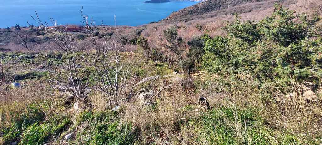 Plot in Blizikuce, Sveti Stefan, Budva