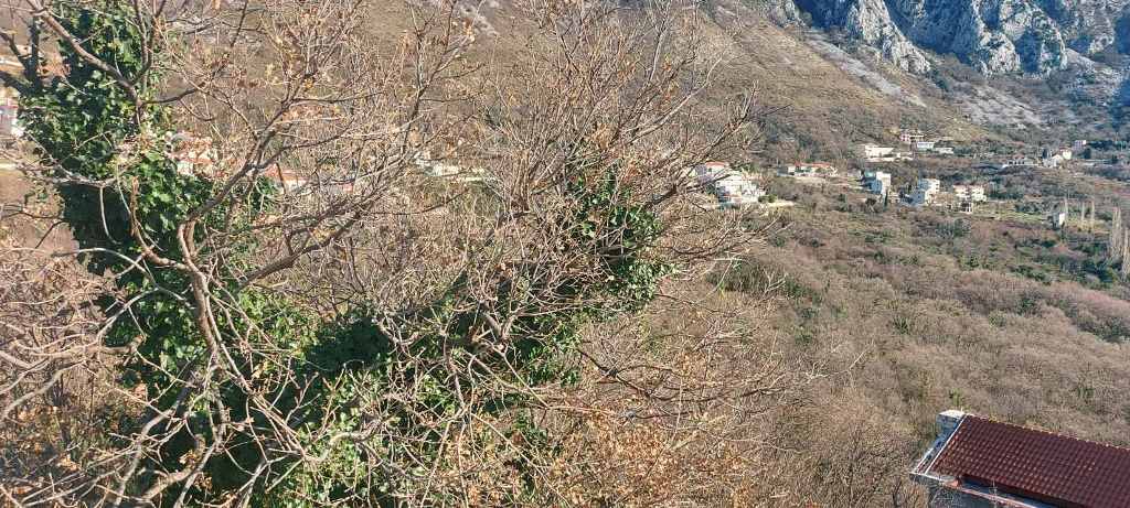 Plot in Blizikuce, Sveti Stefan, Budva