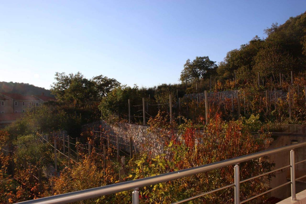House in Pobori, Budva