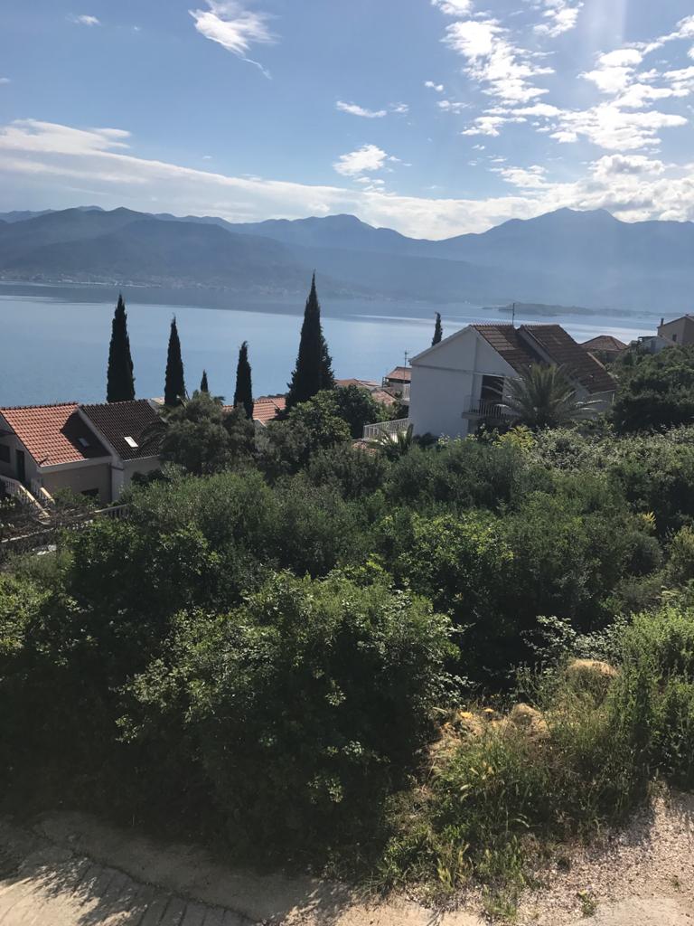 A plot in the village Krasici