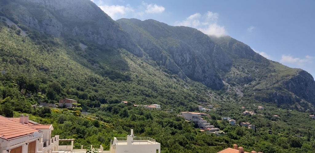 Villa with pool in Blizikuce