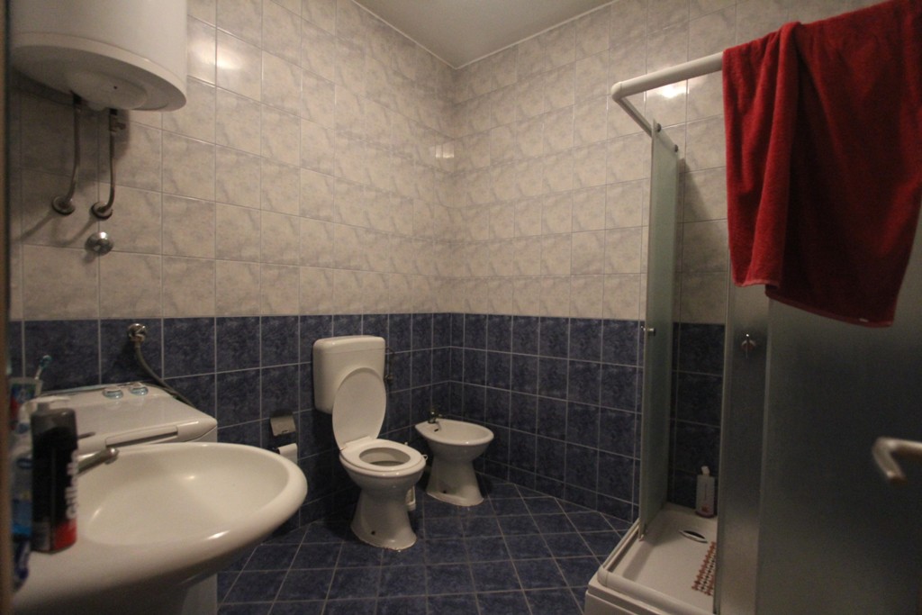 A furnished house in Topla